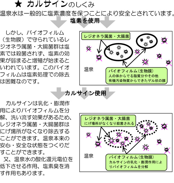 カルサインのしくみ