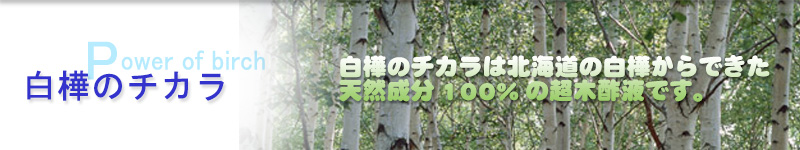 白樺のチカラ　白樺のチカラは北海道の白樺からできた天然成分100％の超木酢液です。